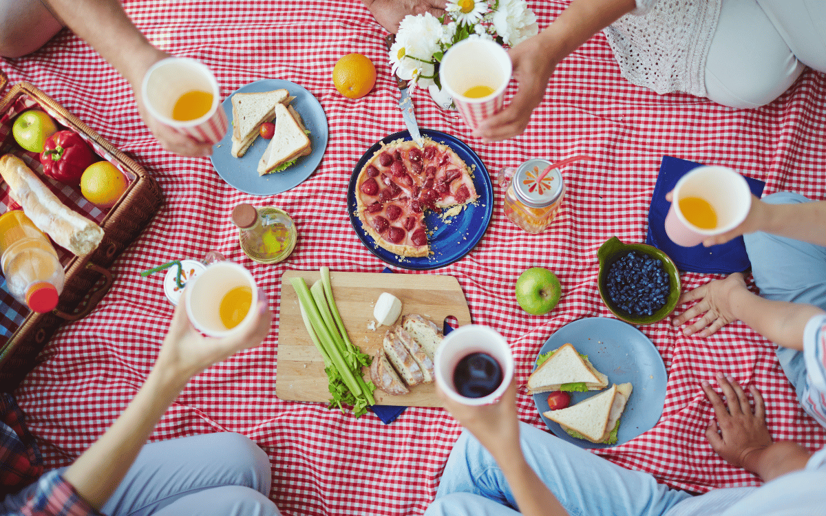picnic outdoors with people and red and white checked blanket