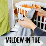 how to deal with mildew in the laundry
