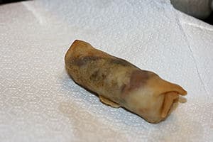 fried spring roll