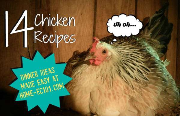 More Chicken Recipes