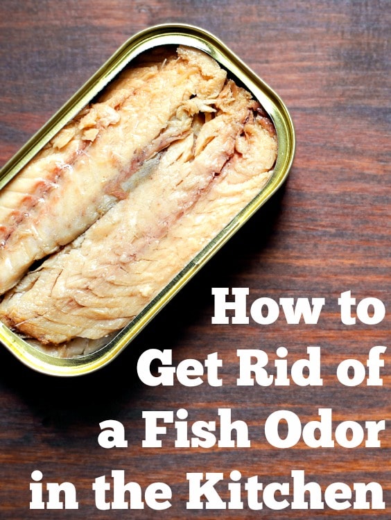 how to get rid of fish odor in the kitchen