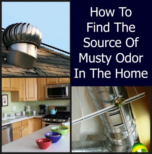 how to find the source of musty odor in the home