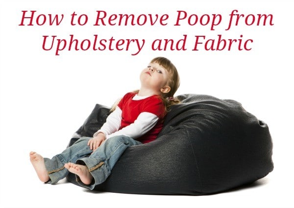 remove poop from upholstery