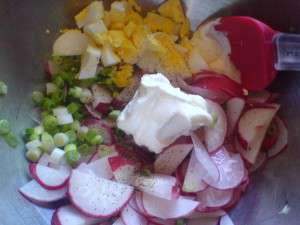 Radish and Egg Salad - ready to mix