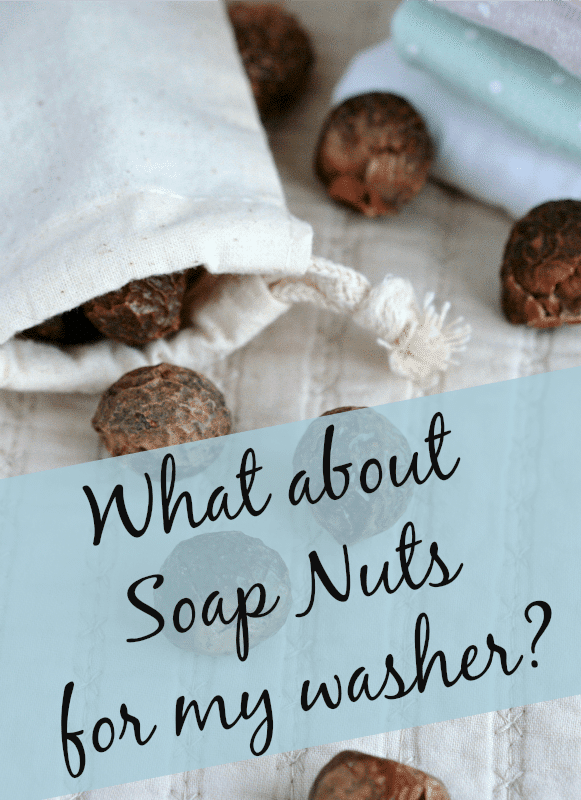 soap nuts for washing clothes
