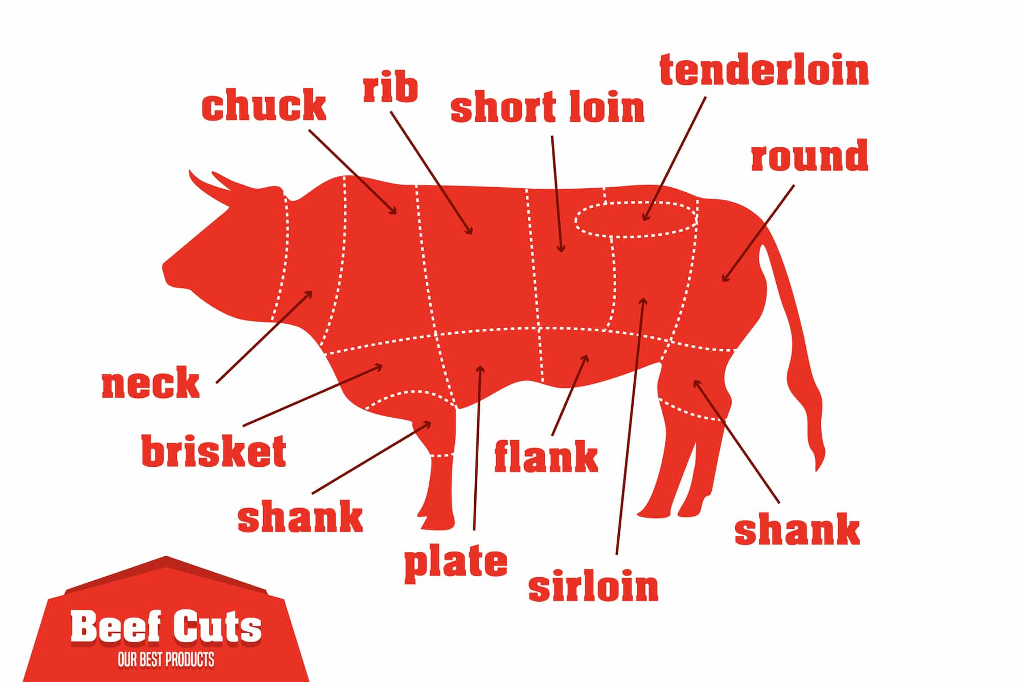 Image of a cow showing the primal cuts including the chuck