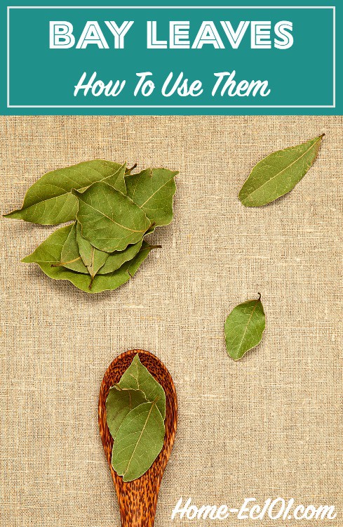 bay leaves scattered on a burlap background