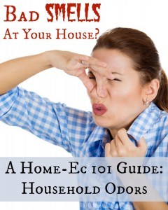 Guide to Household Odors