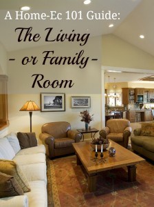 how to take care of your living room