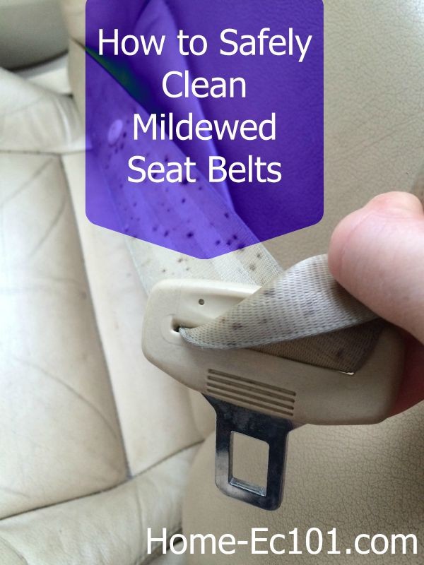 How to Clean a Mildewed Seat Belt