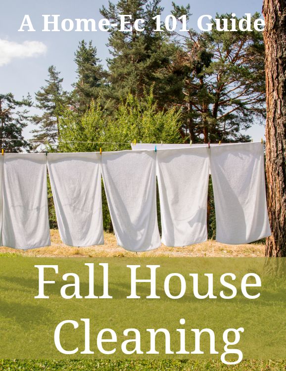 fall house cleaning guide